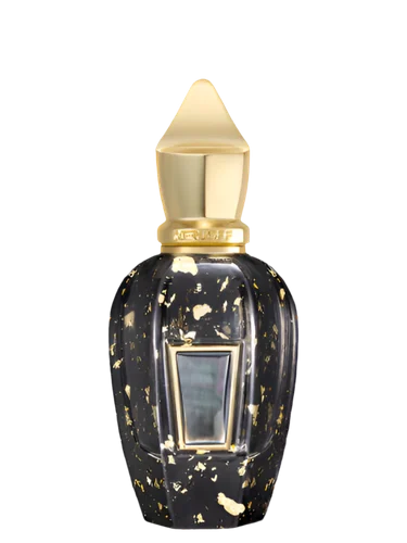 Xerjoff 17/17 Stone Label HOMME ANNIVERSARY parfum